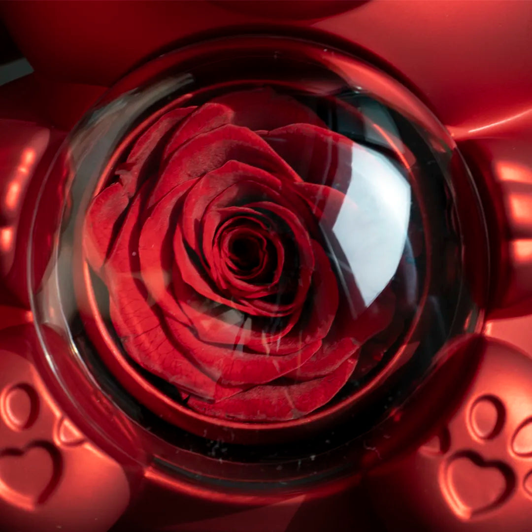 đ LâOurson Ă Rose Ăternelle â Le Cadeau Qui Fait Battre le CĆur đ (T-C)