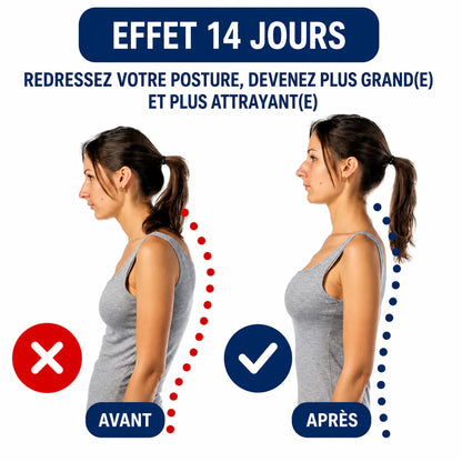 Civière Dorsale Orthopédique 360°